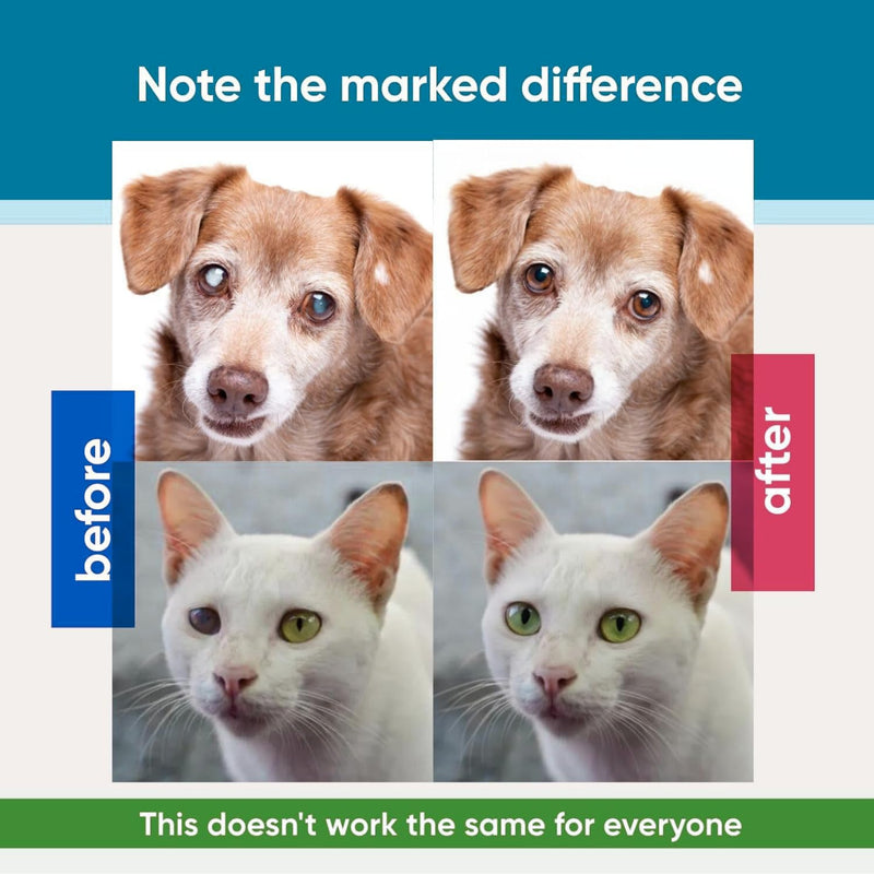 Visiopet Pet Eye Drops - Eye Drops for Dogs and Cats Vet-Recommended Dog Eye Infection Treatment to Soothe Infection Allergy,Relieve Dry Eyes Pink Eyes, Pet Tear Stain Cleaner 1/8 oz /5 ml