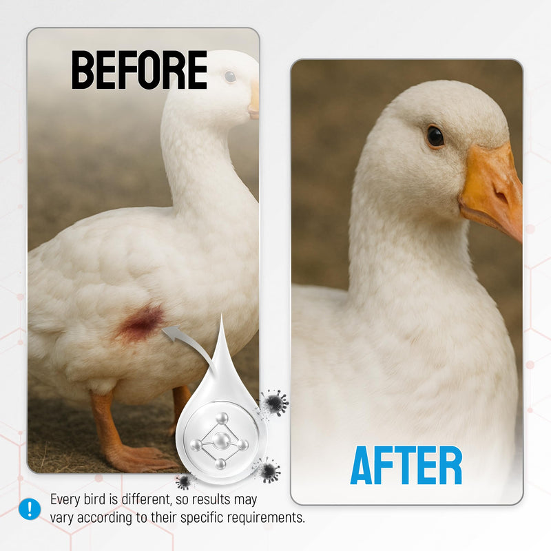SILVER GRADE Wound Spray for Chicken – Birds & Chicken Antibiotics Alternative to Help with Pecking Sores, Bumblefoot, Cuts – Poultry Spray with Silver – GMOs Free – 4-Oz Bottle 4 Fl Oz