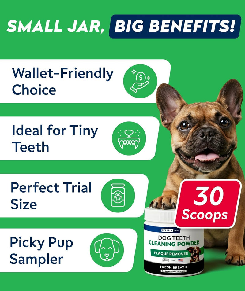 STRELLALAB Dental Powder for Dogs - Natural Kelp Dental Powder - 30 Count BBQ