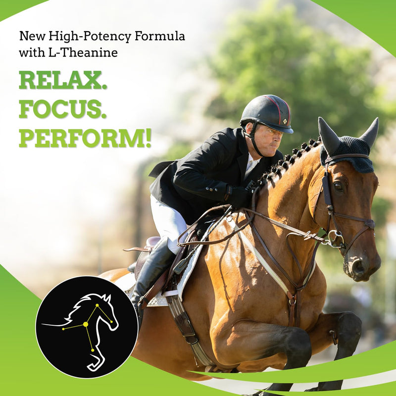 SynChill AF Calming Gel for Nervous Horses - Single Serving - Advanced Formula with L-Theanine, Increased Potency, 100% Natural Supplement, Disposition & Confidence Support for Horses - PawsPlanet Australia