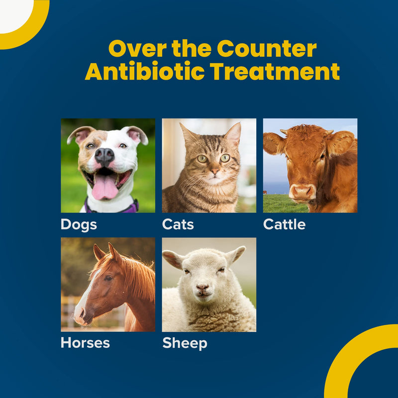 Terramycin Antibiotic Ointment for Eye Infection Treatment in Dogs, Cats, Cattle, Horses, and Sheep, 0.125oz Tube - PawsPlanet Australia