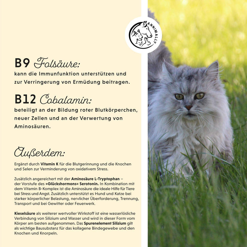 Annimally Vitamin B Complex Dog 120 tablets for up to 4 months I Vitamin B high dosage for dogs and cats with vitamin B1, B2, B3, B5, B6, B9, B12, vitamin K, L-tryptophan and selenium - PawsPlanet Australia