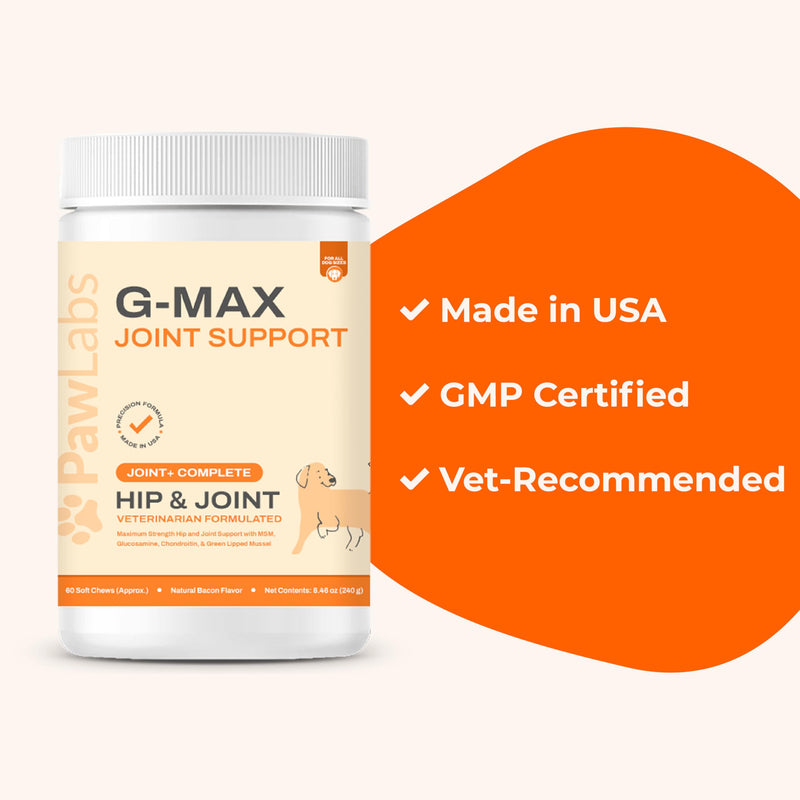 G-Max Joint Support for Dogs - Maximum Strength Hip & Joint Supplement with Glucosamine, Chondroitin, MSM etc - Relieves Arthritis Pain & Hip Dysplasia - Bacon Flavor, 60 Chews - PawsPlanet Australia