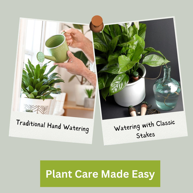 Blumat Classic Plant Watering Stakes - Self Watering Planter Insert for Pots - Automatic Plant Waterer & Plant Accessories (15Pack)