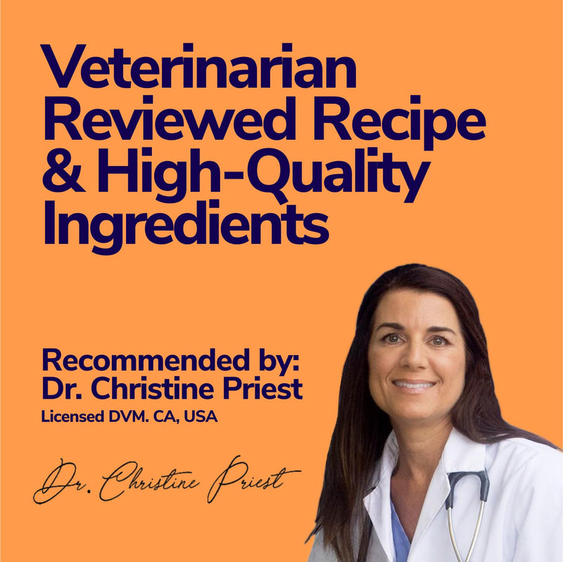 High-Calorie Weight Gainer for Dogs & Cats - Multivitamin Nutritional Supplement Gel, Omega Fish Oil, Calcium - Puppy, Senior, Prenatal Cat & Dog Vitamins, Supplements for Weight Gain 16 oz - NewNest Australia