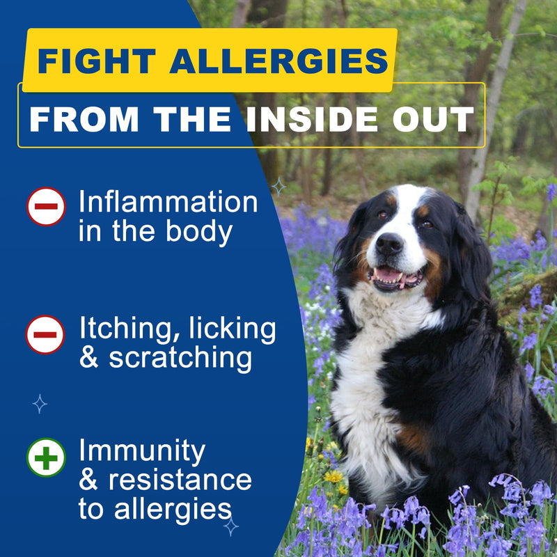 Dog Allergy Relief Chews, Salmon Fish Oil for Dogs Skin and Coat