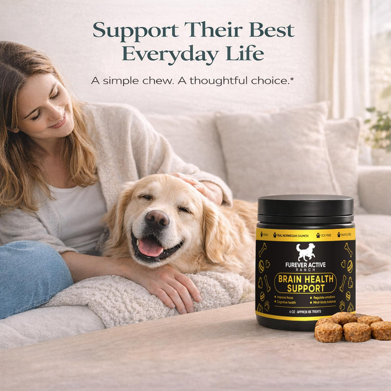 Furever Active Pet Neuro Chewing, Formulated with Carrots, Beets, Apples, Celery, Lemon | Supports Brain & Cognitive Health | Soft Chews for Adult & Senior Dogs, 60 Chews