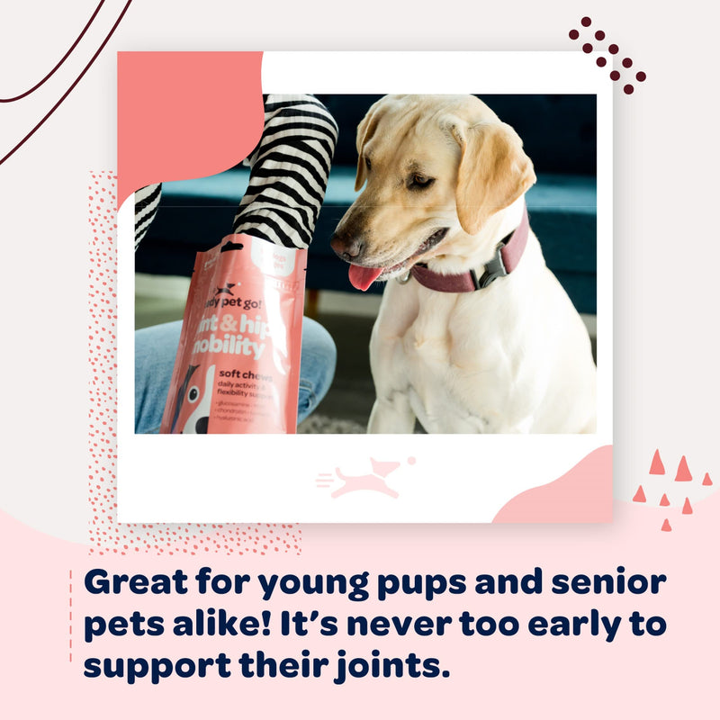 Hip and Joint Chews for Dogs | Dog Glucosamine Chews for Comfort & Mobility with Chondroitin MSM & Turmeric | Dog Joint Supplement for All Ages & Sizes | NASC Certified & Made in The USA | 90 Chews Hip and Joint 90 Count