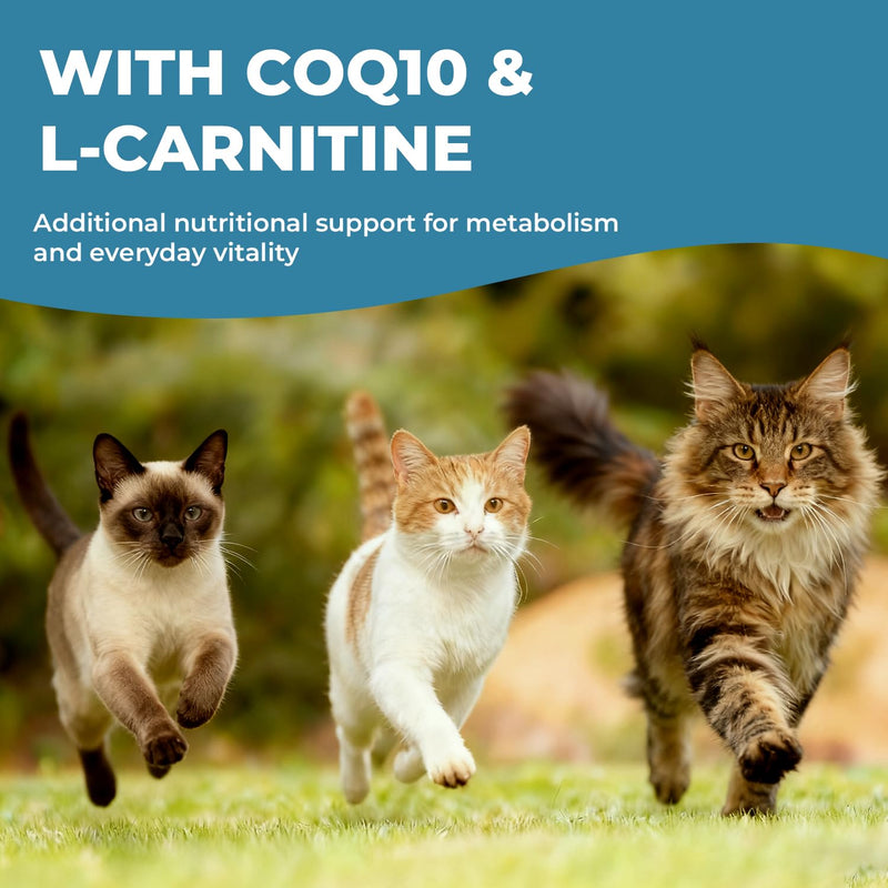 Taurine Supplement for Cats Liquid Drops, Cat Taurine with Coenzyme Q10 & L-Carnitine, Supports Heart Function, Vision, Energy & Daily Vitality, 2 fl oz 60 ml (Pack of 1)