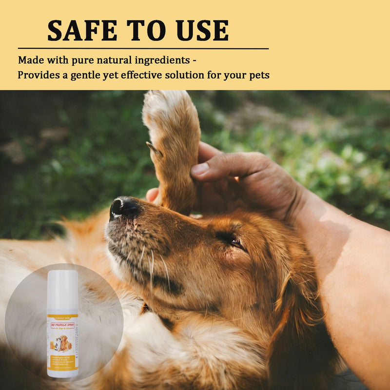 Bee Propolis Spray for Dogs & Cats, 3.4 fl oz - Breath Freshener, Gum Health Support, Dental Care，Gums Health ，Natural Plant-Based Active Formula ﻿