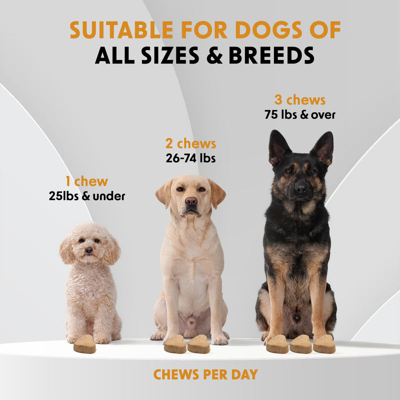 Hip & Joint Supplements for Dogs Soft Chews (90 CT) – Mobility Support + Joint Comfort & Flexibility – Glucosamine + MSM – Made in USA Hip and Joint Support