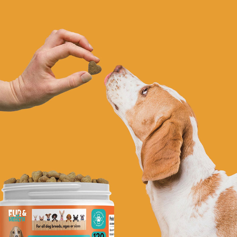 Fur & Health Advanced Glucosamine Chondroitin for Dogs - Hip Joint Pain Relief Soft Chew - Old Dog Joint Supplement Large & Small Breed - Hip Joint Chews Mobility Support - PawsPlanet Australia