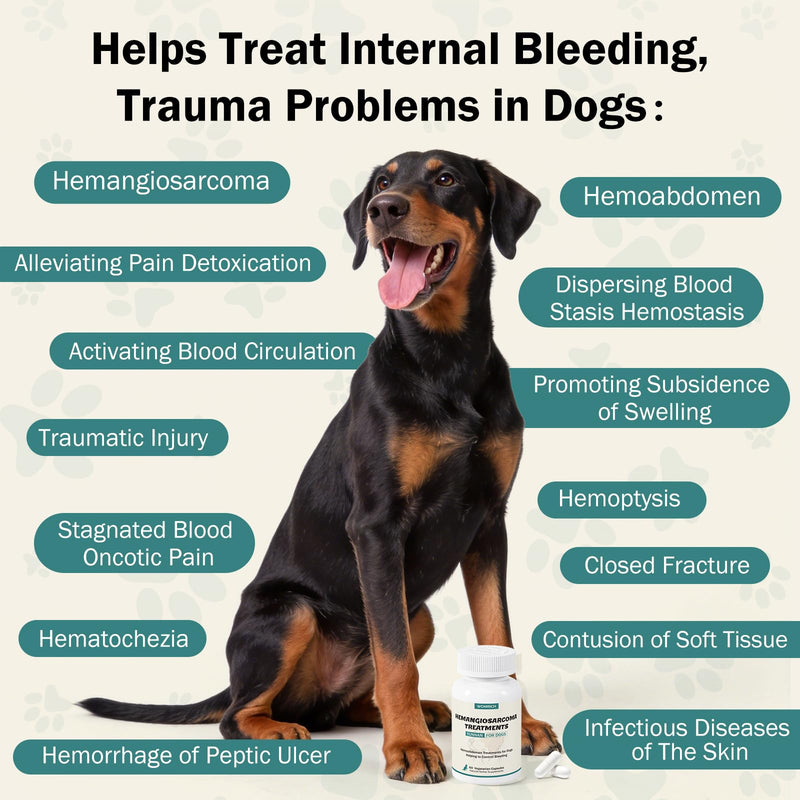 Yunnan Sanqi Capsules for Dogs, Natural Therapy for Hemangiosarcoma, Hemoabdomen, Pericardial Effusion, Cancer Bleeding, Nose Bleed, Bloody Stools, Extends Your Dog’s Lifespan