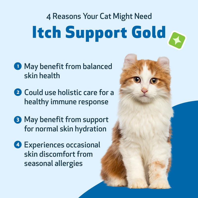 Pet Wellbeing Itch Support Gold for Cats - Occasional Itching, Scratching, and Hot Spots, Environmental and Seasonal Allergies, Dong Quai - Veterinarian-Formulated Herbal Supplement 2 oz (59 ml) 2 fl oz (59 ml)