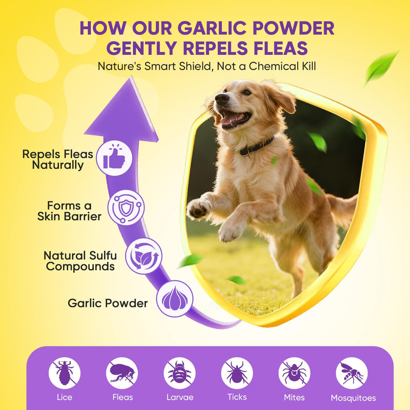 Dog Flea and Tick Treatment Chewable 200 Treatment Chews Natural Soft Chew Fleas Ticks Treatment Dog Oral Chewables Support Supplement Breeds and Ages Dogs Chicken Flavor