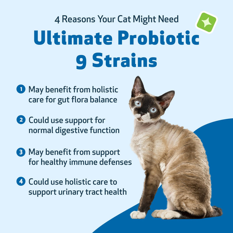 Pet Wellbeing Ultimate Probiotic 9 Strains with FOS Prebiotics for Cats - Digestive Health, Immune Support & Gut Flora Balance - NASC Certified & Vet-Formulated - 160 g Powder