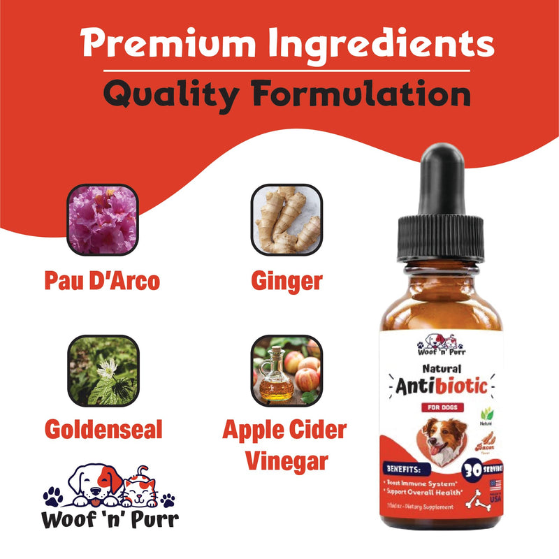 Natural Dog Antibiotics - Antibiotics for Dogs - Supports Immune Health, Itch Relief, Allergy Relief & More - Antibiotic for Dogs - Itch Relief for Dogs - Yeast Infection Treatment for Dogs - 1 oz - PawsPlanet Australia