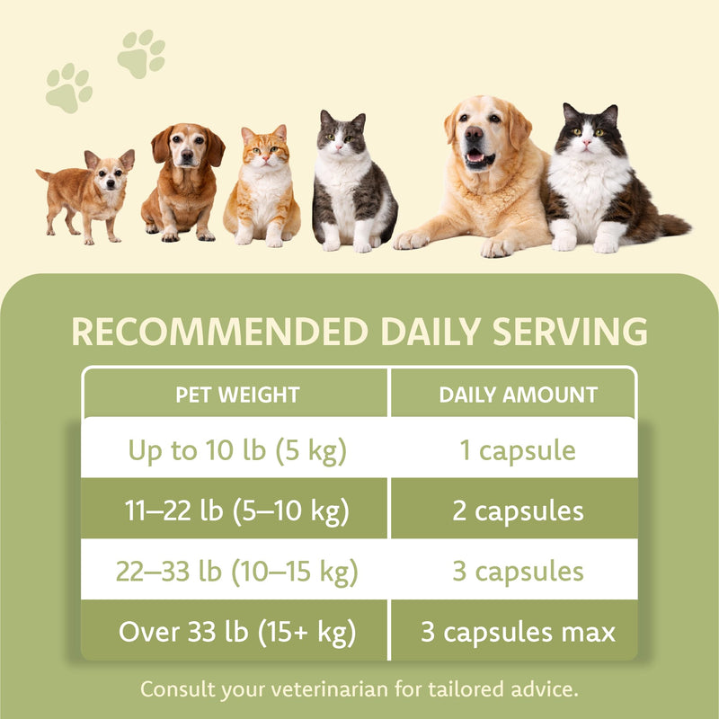 LOVITA Pets Digestive Health Probiotic for Dogs & Cats, SUBACTIL PB6 Spore Probiotic, 6-Strain Blend with Prebiotics (Inulin & FOS) and Digestive Enzymes, Chicken Flavor, 60 Capsules
