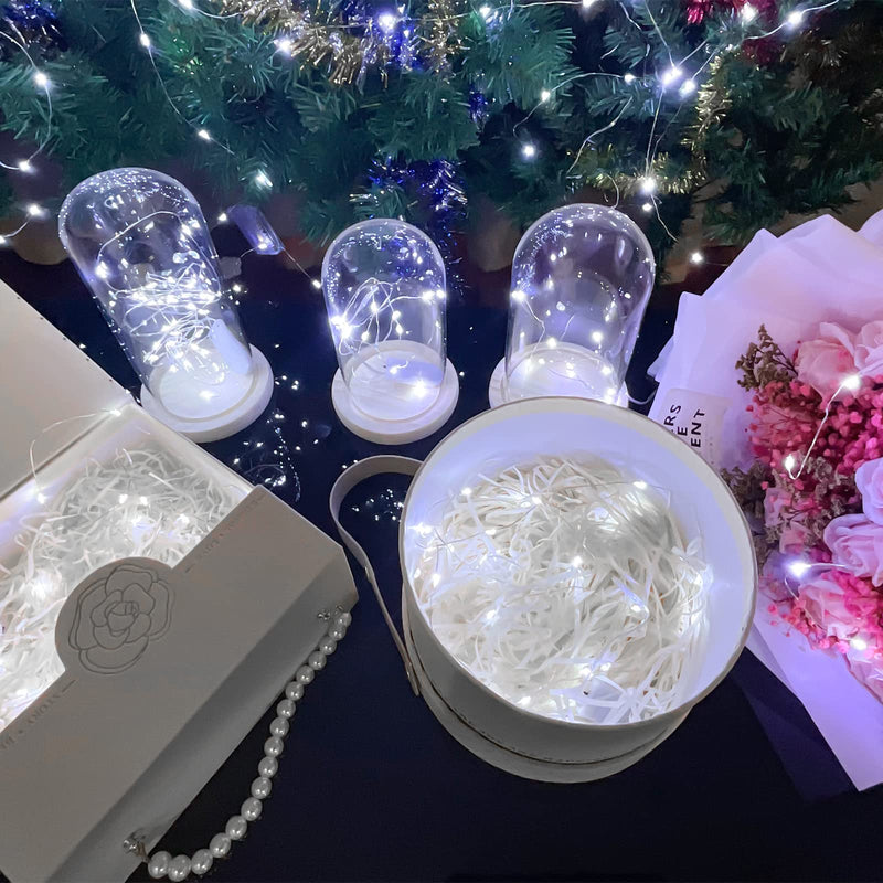10 Pack Fairy Lights Battery Operated String Lights, 10 LED on 3.3ft Silvery Copper Wire，for Flowers Gift Box Wedding Party Christmas Decoration (10 Pack, Cool White) 10 Pack