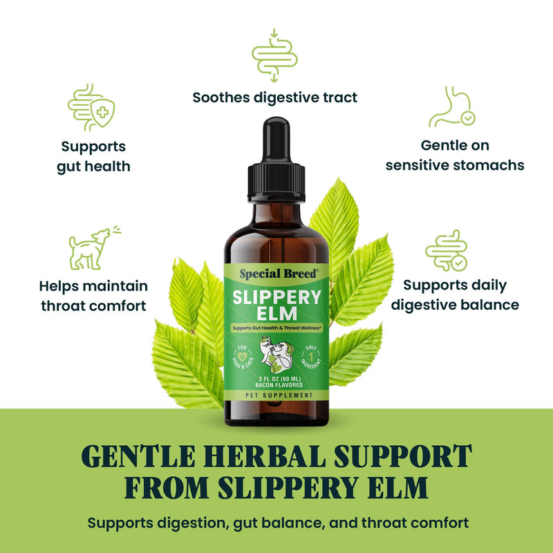 Slippery Elm for Dogs and Cats - Soothing Digestive Relief and Gut Support - Stomach Comfort and Throat Support - Herbal Drops for Pets - Easy to Use - Bacon Flavored - 2 fl oz