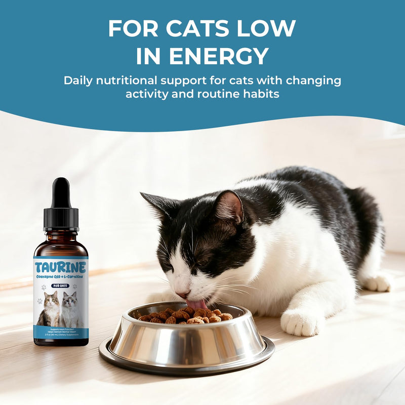 Taurine Supplement for Cats Liquid Drops, Cat Taurine with Coenzyme Q10 & L-Carnitine, Supports Heart Function, Vision, Energy & Daily Vitality, 2 fl oz 60 ml (Pack of 1)