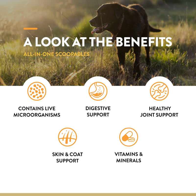 NaturVet Scoopables All-in-One Multivitamin for Dogs - Dog Vitamins and Supplements for Joint Support, Digestion, Skin & Coat Care & Immune - Hickory Smoked Bacon Flavor Vitamin Supplement | 11oz Bag - PawsPlanet Australia