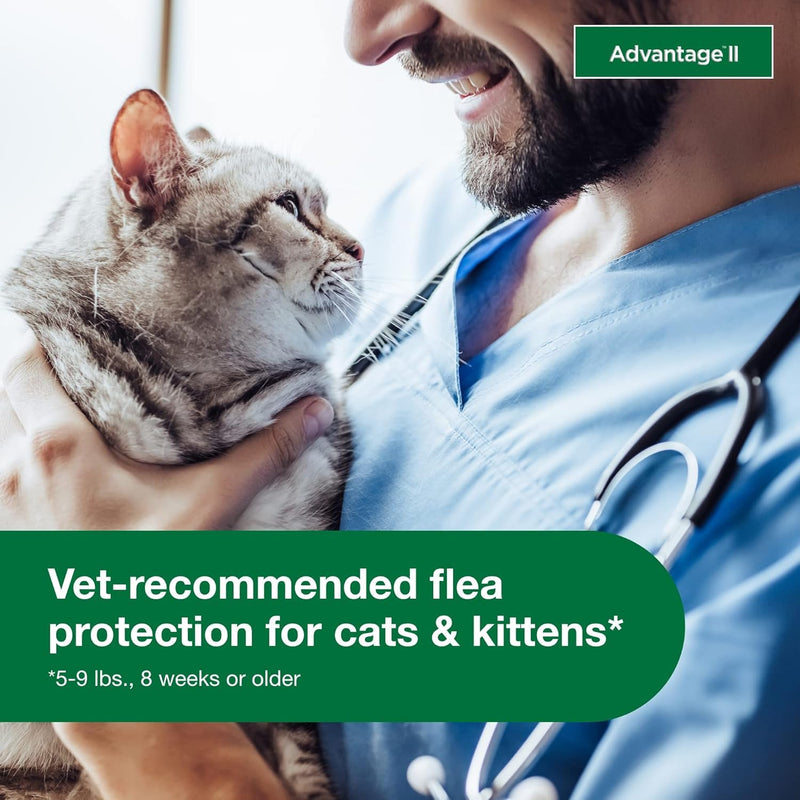 Bundle of Advantage II Vet-Recommended Flea Treatment & Prevention | Cats 5-9 lbs. + Advantage Household Spot & Crevice Spray 24 oz. Small Cat + Household Spray
