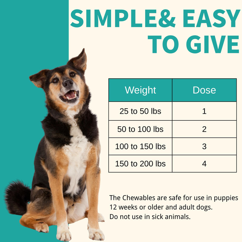 Pyrantel Pamoate and Praziquantel De-wormer Tablet for Medium and Large Dogs, Chewable Formula