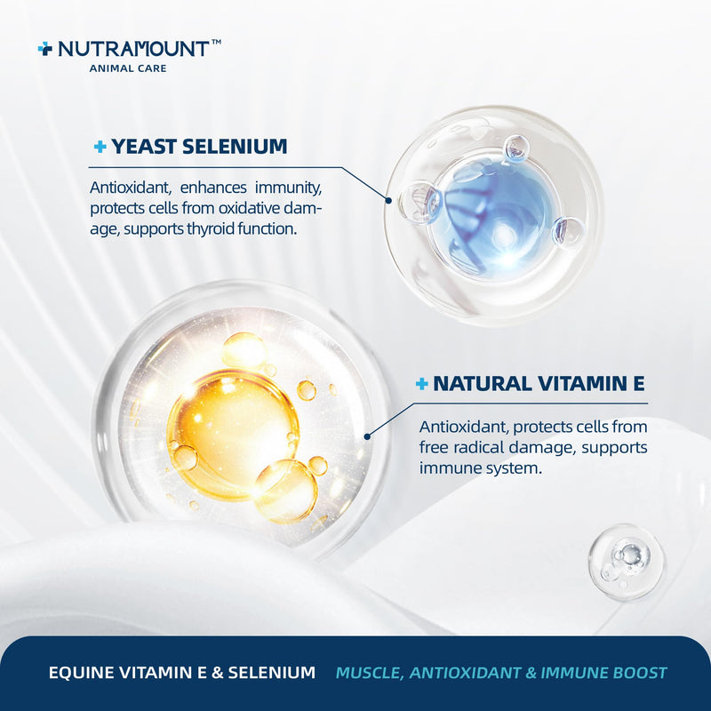 Horse Vitamin E & Selenium Supplement Powder – Natural Vitamin E 24% & Yeast Selenium – Daily Equine Antioxidant & Muscle Support – 100 Day Supply Big Tub
