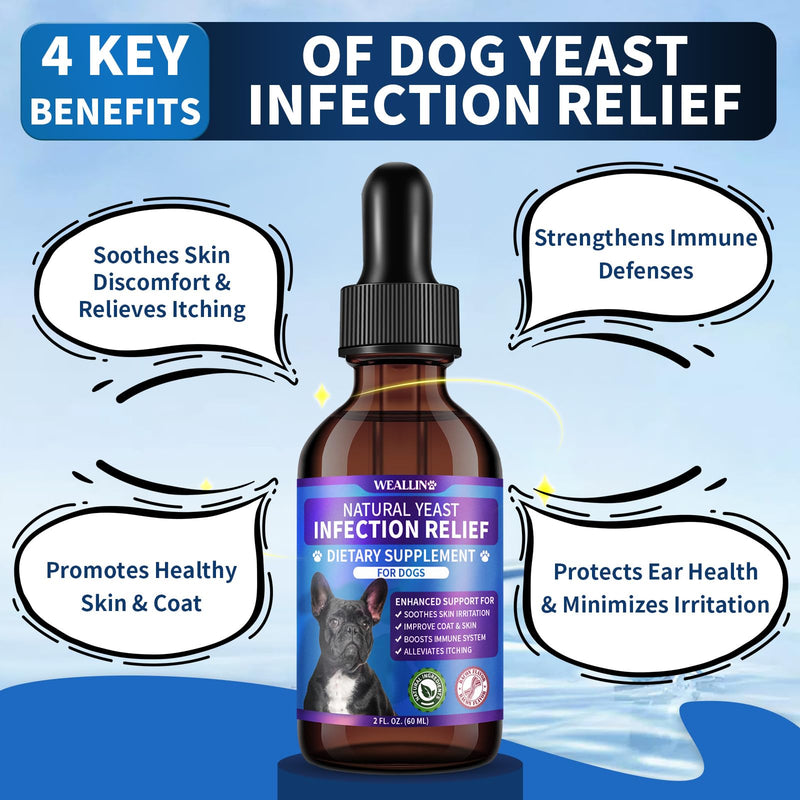 Natural Yeast Infection Treatment for Dogs | Probiotic-Powered Drops with 8-Herbal Blend | Supports Skin, Ears, Allergy Relief | Dog Yeast Infection Treatment Oral Supplement | Bacon-Flavored 2 FL OZ