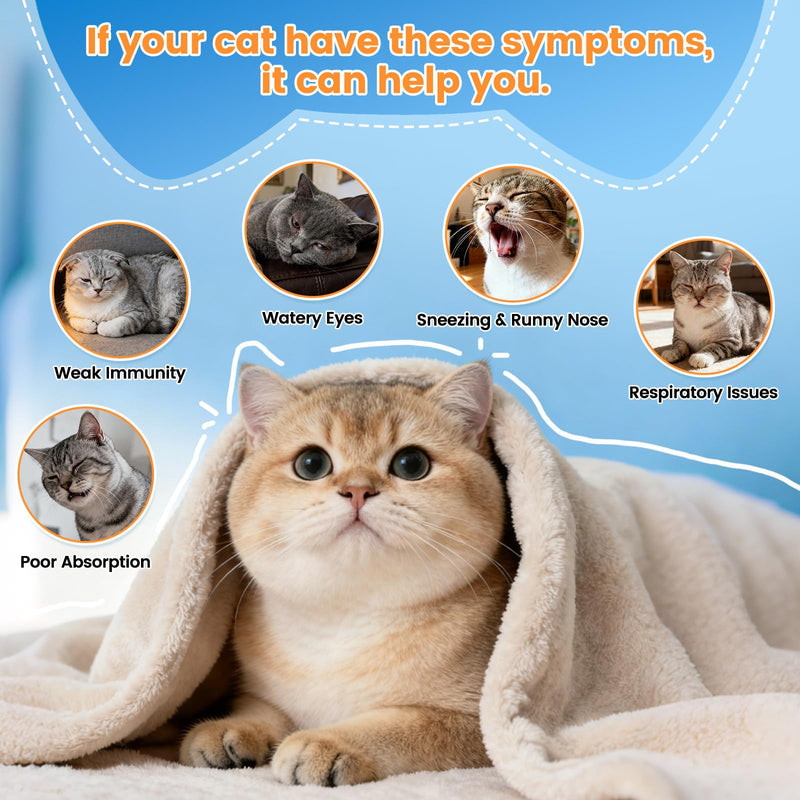 Cat Hairball Support Chews – 500 Hairball Treats L-Lysine Supplement for Cats - Immune & Respiratory Support