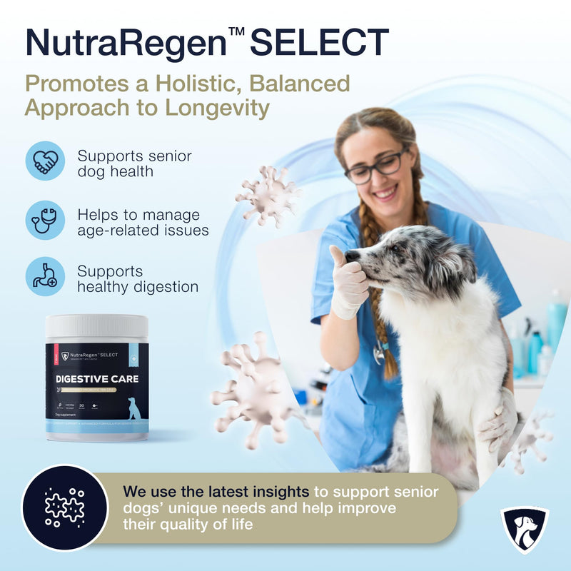 Nutraregen Digestive Dog Probiotic Powder 30 Scoops | Beef Flavored Dog Probiotics for Digestive Health, Supports Gut Health, Scratching, Itchy & Dry Skin, Allergies 2.1 Oz | 7 Bn CFU