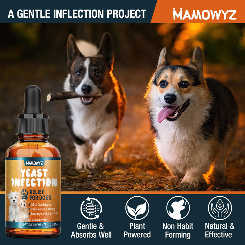 Dog Yeast Infection Treatment for Dogs - Natural Herbal Supplement for Itchy Skin Relief, Coat Support, Inflammation Reduction & Immune Booster - 60ml Yeast Drops for Dogs (Bacon Flavor)