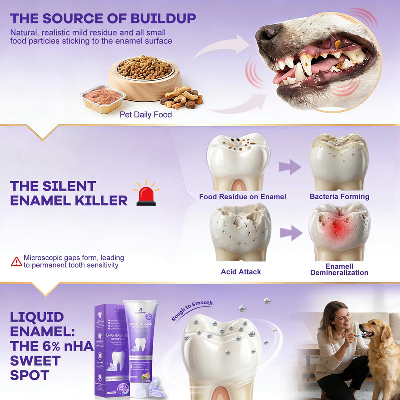 Cat Toothbrush for Daily Teeth Cleaning + 6% nHA Pet Dual-Enzymatic Toothpaste