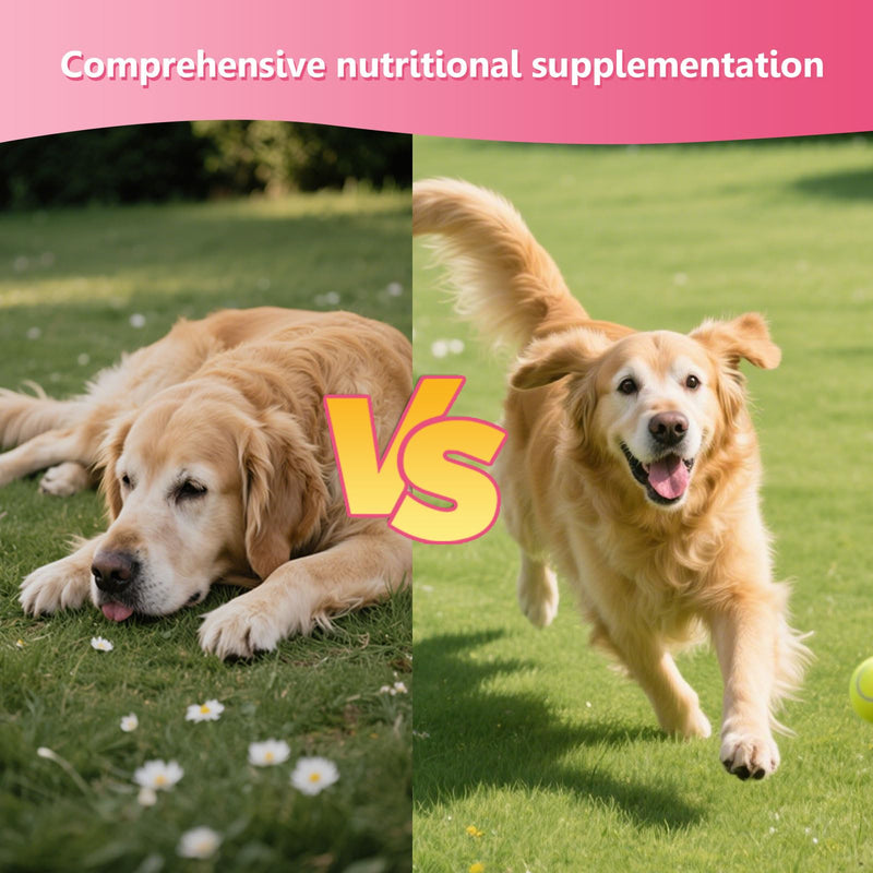 26-in-1 Dog Multivitamin Chews – Glucosamine, MSM & Chondroitin for Joints, 6-Strain Probiotics for Gut, Calming Chamomile & Valerian, Immune Support, Chicken Flavor (30 Count) ND-015