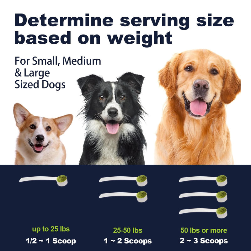 Dog Breath Freshener Dental Powder–Teeth Cleaning Powder for Dogs with Probiotics & Herbs–Plaque & Tartar Remover, Fresh Breath Remedy & Oral Care-Chicken Flavor-45 Scoops (Pack of 1)