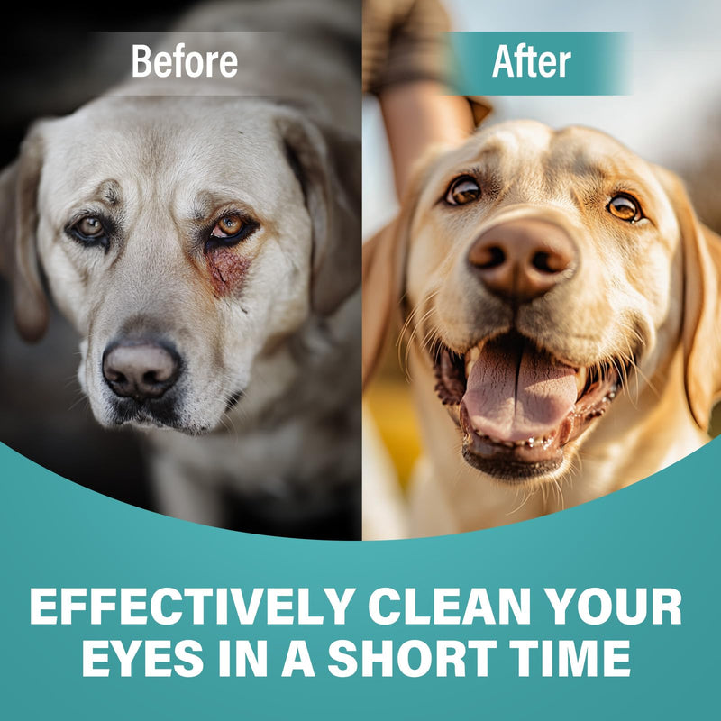 Cataract Drops for Dogs - Pet Gel Dog Eye Drops for Soothing Eye Discomfort, Reducing Tear Stains, and Supporting Eye Health, Gentle Formula for All Animals (2 X 20 ml)