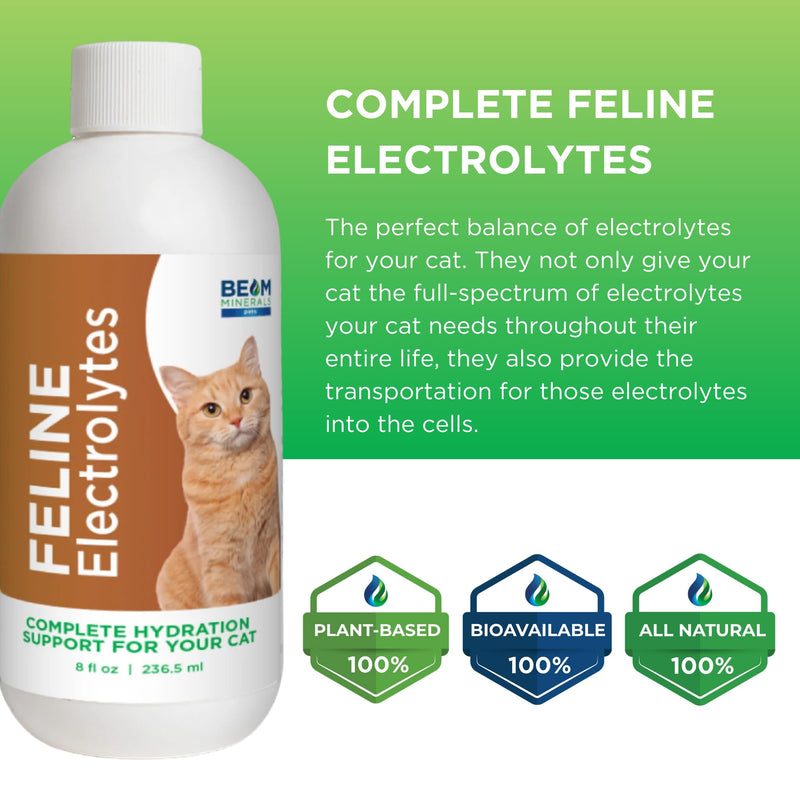 Beam Minerals Complete Feline Electrolytes | Full-Spectrum Electrolytes for Cats | 8 Fl Oz