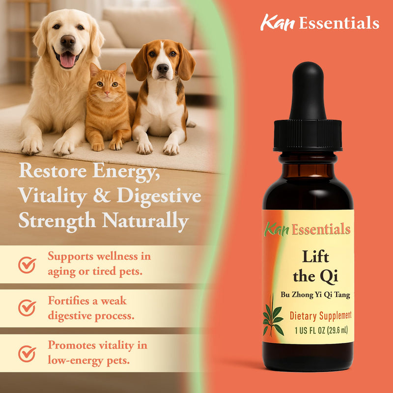 Kan Herb Company Lift the Qi – Traditional Chinese Herbal Blend for Dogs and Cats to Support Energy, Vitality, Digestion, and Overall Wellness, Liquid Herbal Supplement for Pets, 1 fl oz