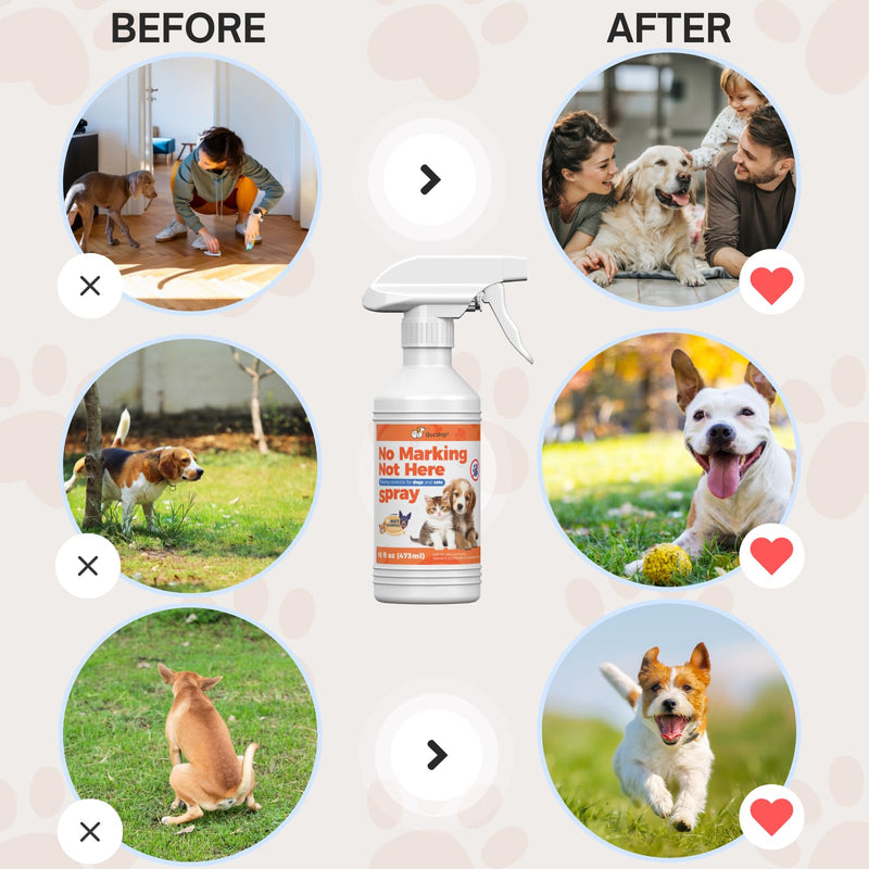 16oz Effective Solution for Training Dogs to Avoid Indoor Marking, Stop Dog Urinating in House with No More Peeing, Safe Don't Pee Here Dogs Marking Wrong 16.0 Fl Oz