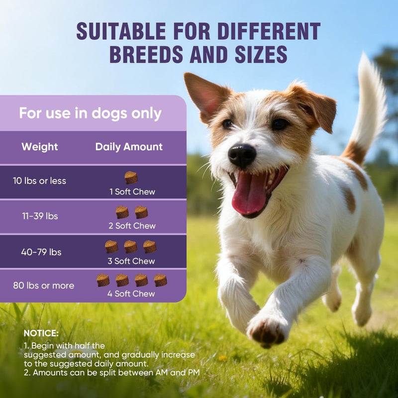 Dog Allergy Chews 200ct - Dog Allergy Itching Skin Relief Immune Support Anti Itch Probiotics for Yeast, Itchy Skin and Itchy Ears, Vitamins for Seasonal Allergies Itchy Skin Gut Health,Peanut Butter