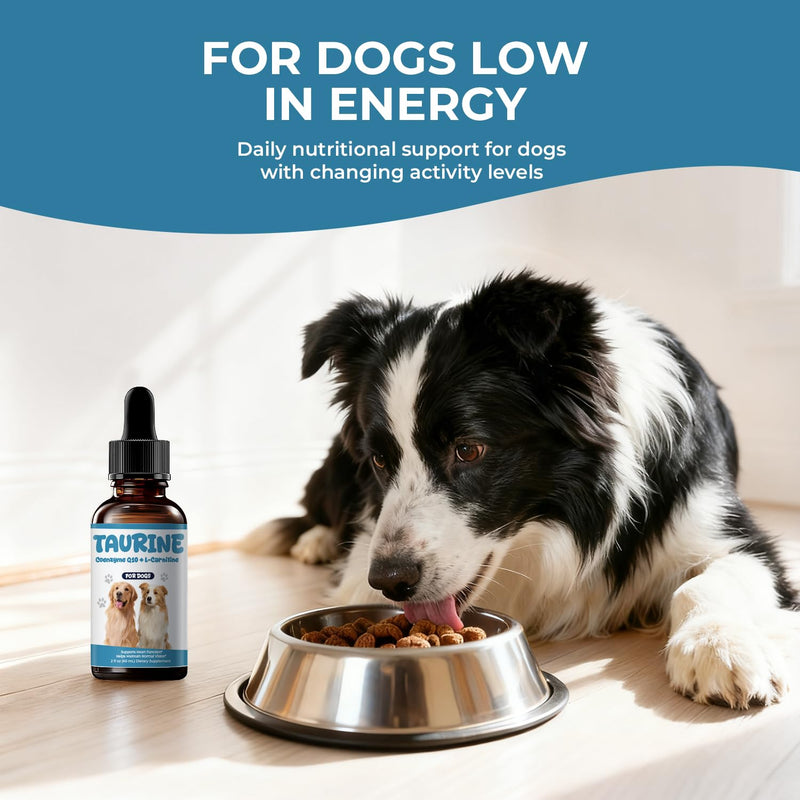 Taurine Supplement for Dogs Liquid Drops, Dog Taurine with Coenzyme Q10 & L-Carnitine, Supports Heart Function, Energy & Daily Vitality, 2 fl oz 60 ml (Pack of 1)