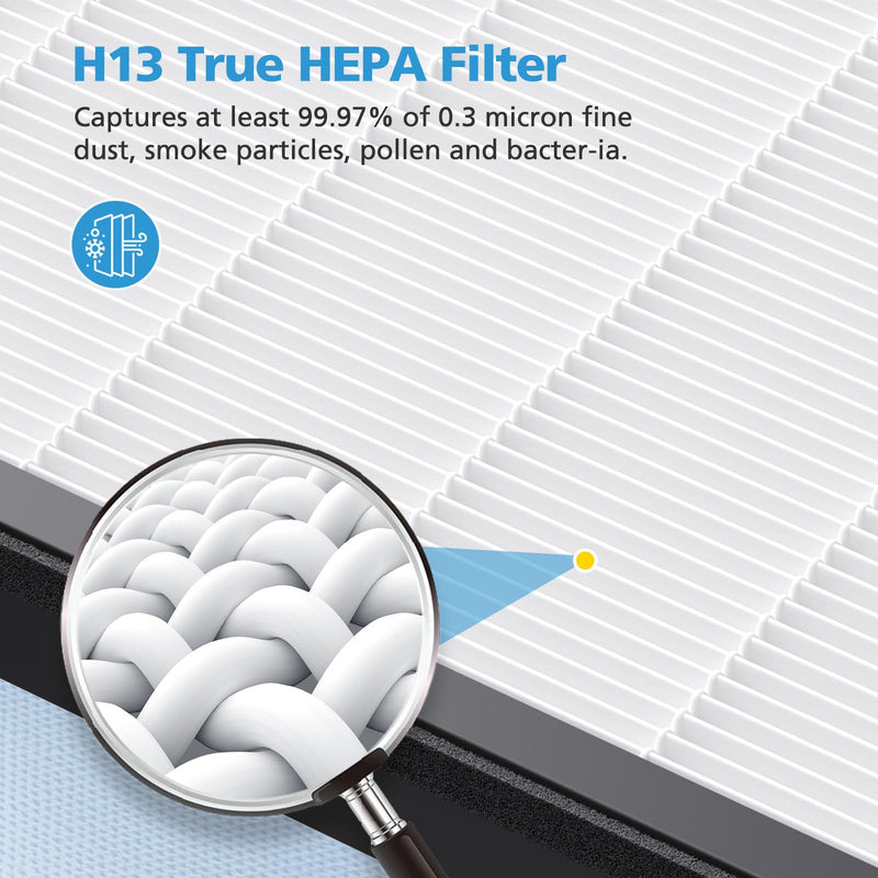 2 Pack HAP602 Replacement Filter for ECOSELF HAP602 / HAP602WF Air Purifier 2 Pack