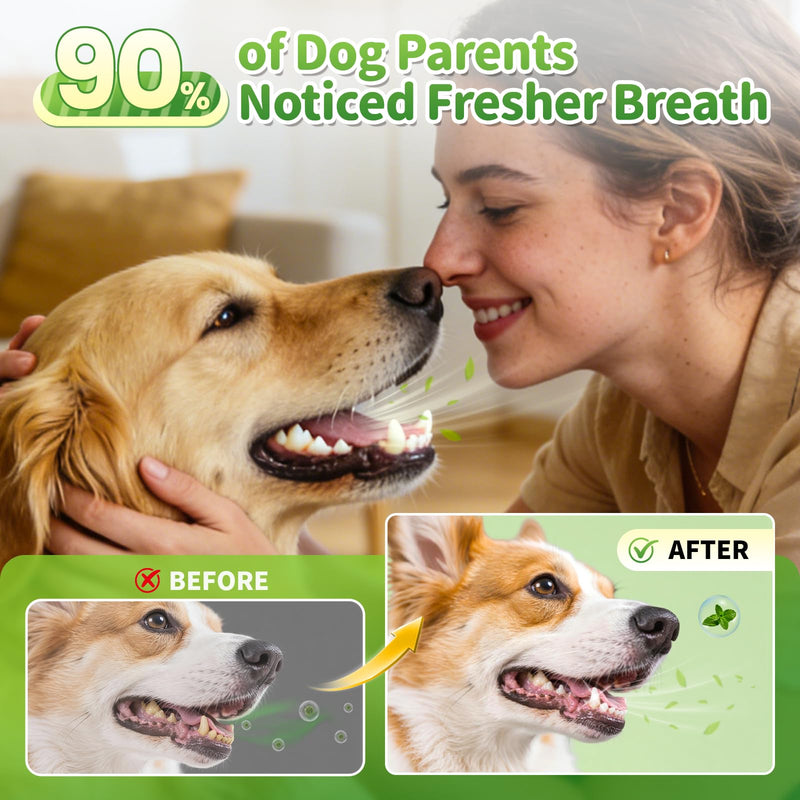 Dog Dental Powder, Teeth Cleaning Powder, Plaque & Tartar Off, Fresh Breath Support, No Brushing Oral Care, Mint Chicken Flavor, 75 Servings Mint-Chicken 75 Servings (Pack of 1)