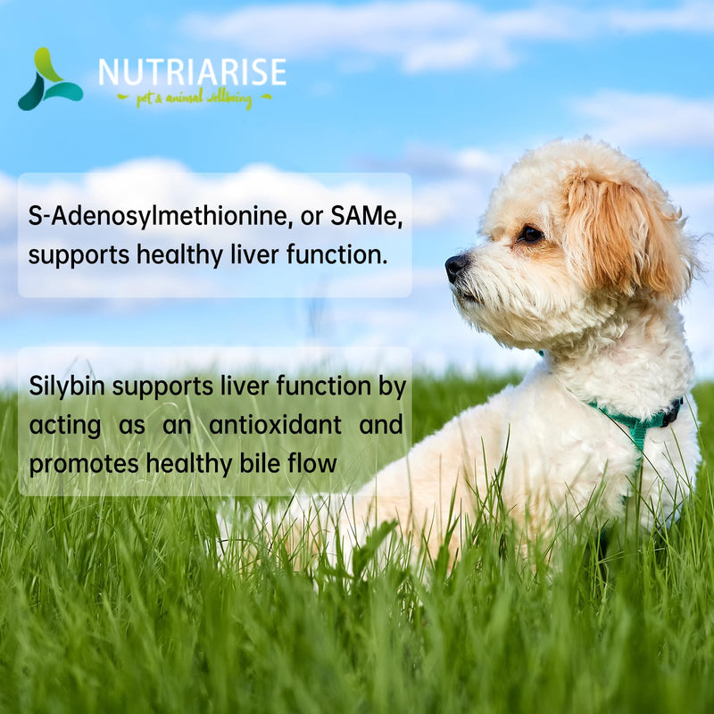 Same for Dogs and Cats - S-Adenosyl-L-Methionine, Liver Supplements for Dogs and Cats - Brain Supplement for Dogs and Cats, Promotes Cognitive Support, Liver Support Supplement Small Dogs & Cats - PawsPlanet Australia