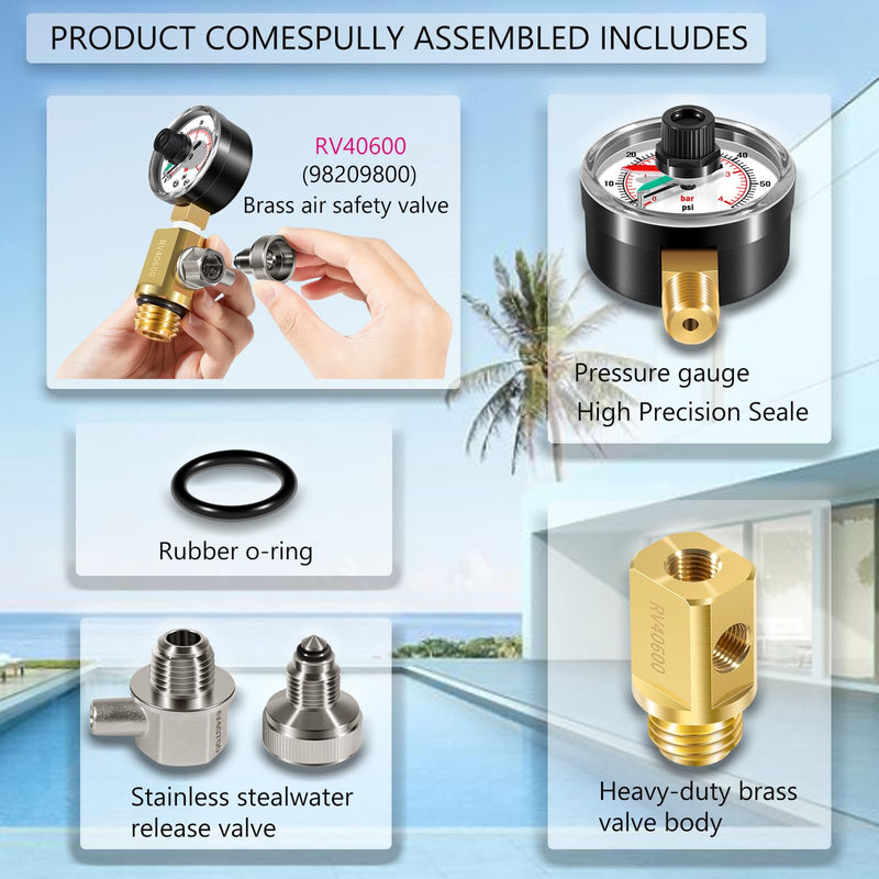 RV40600 (98209800) Brass air Relief valves are Suitable for a Variety of Swimming Pool Filter System Solutions, Including FNS, Clean and Clear, Quad DE, and 4000 Series Filters.
