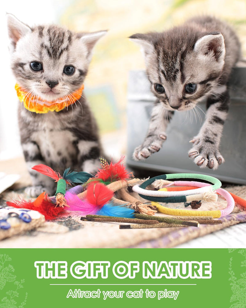 TINDTOP Cat Chew Toys, Silvervine Chew Sticks with 2 Pack Chew Ropes | for Kittens Teeth Cleaning, Increase Appetite, Aggressive Chewers Cat Dental Toy 14 Pack
