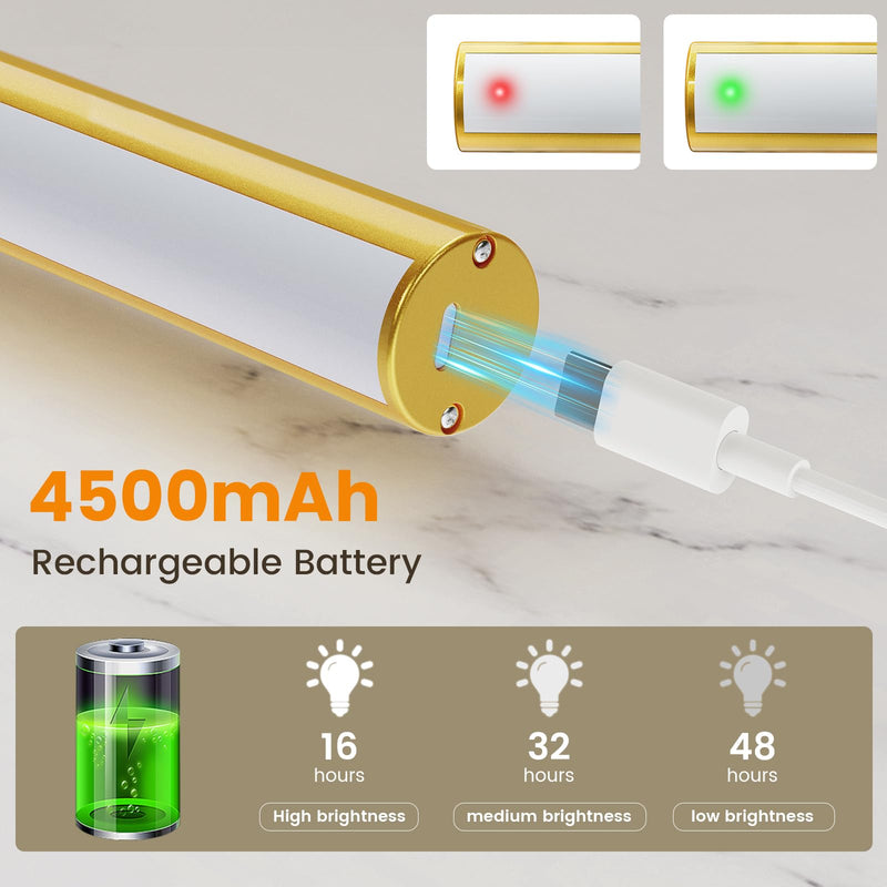Bridika 16.5in Picture Lights for Wall Battery Operated, Wireless Picture Light with Remote, 3 Color Modes and Dimmable Classic Art Light for Paintings, Gallery, Dartboard with Timer (Gold, 1 Pack) Gold