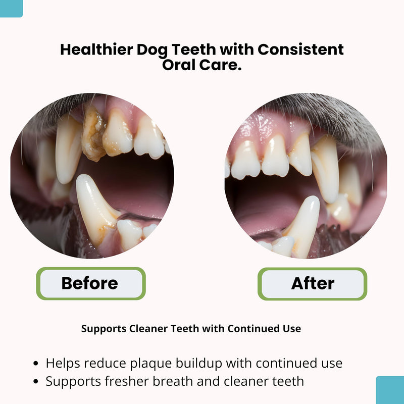 Dog Dental Powder - Plaque & Tartar Support - Fresh Breath & Oral Health - Natural Brown Algae Formula - 30-Day Supply (150g)