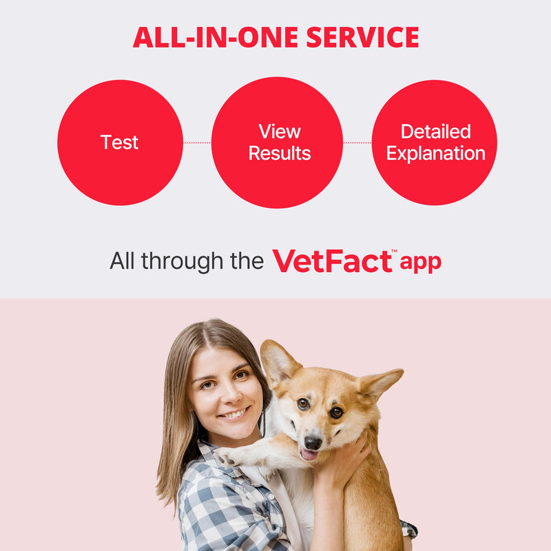 [5 Kits] Free Mobile App Urine Test Strips for Dogs & Cats, Cat & Dog Kidney Function Test (Protein to Creatinine Ratio Test) at Home, Easy-to- Use ; Support English, Spanish, Korean, and Japanese 5 Count (Pack of 1)